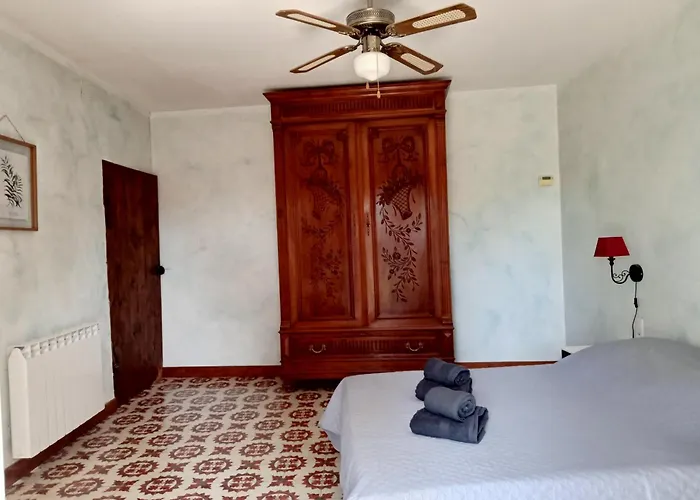 A Cedre De Mon Enfance